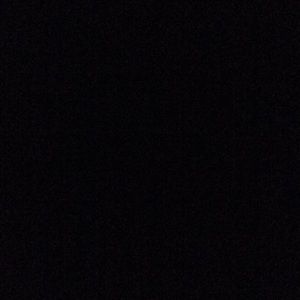 Meet your Posher, Ariana